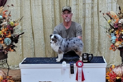 Reserve Best of Breed at 2021 Texas Show with over 400 dogs entered