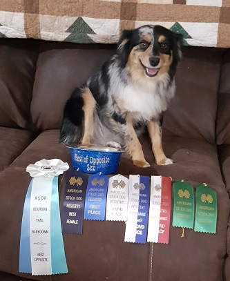 Nelli's winning in Kentucky.  We are so proud of her.